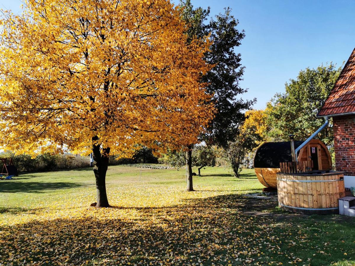 Agroturystyka Ginkgo Sulislaw  Экстерьер фото